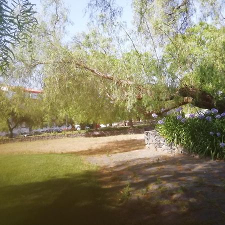 Casa Do Jardim Lejlighed Beja Eksteriør billede