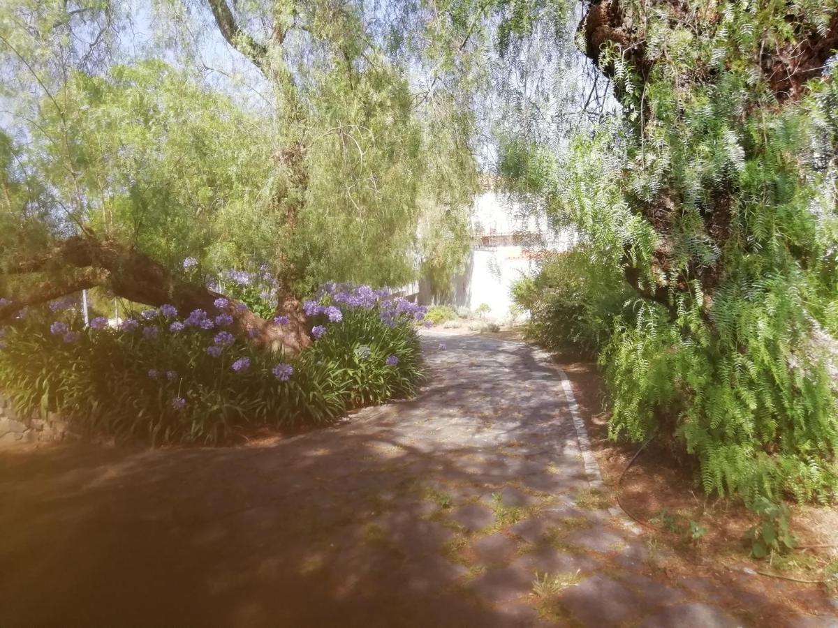 Casa Do Jardim Lejlighed Beja Eksteriør billede